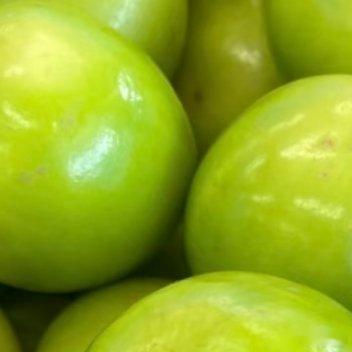 青枣的种植方法:一、选择合适的品种青枣类型多样，各自有不同的口味、产量和形状。为