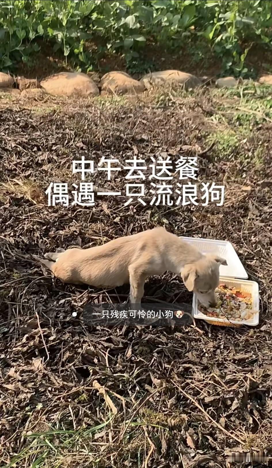 泪目了！这天一位快递小哥中午的时候去送餐，当他骑到一个公园附近的时候，看到非常凄