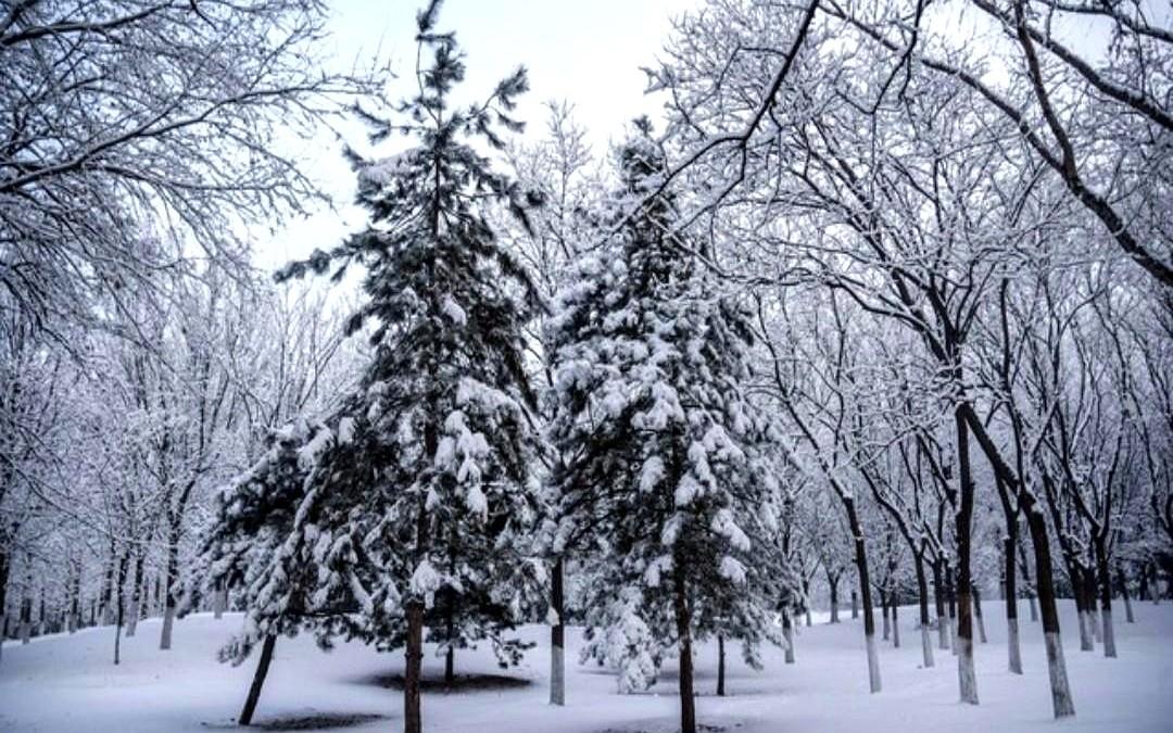 10月24号，河北涞源、石家庄飘雪，朋友圈直接刷屏：秋天被一键删除。我扒了气