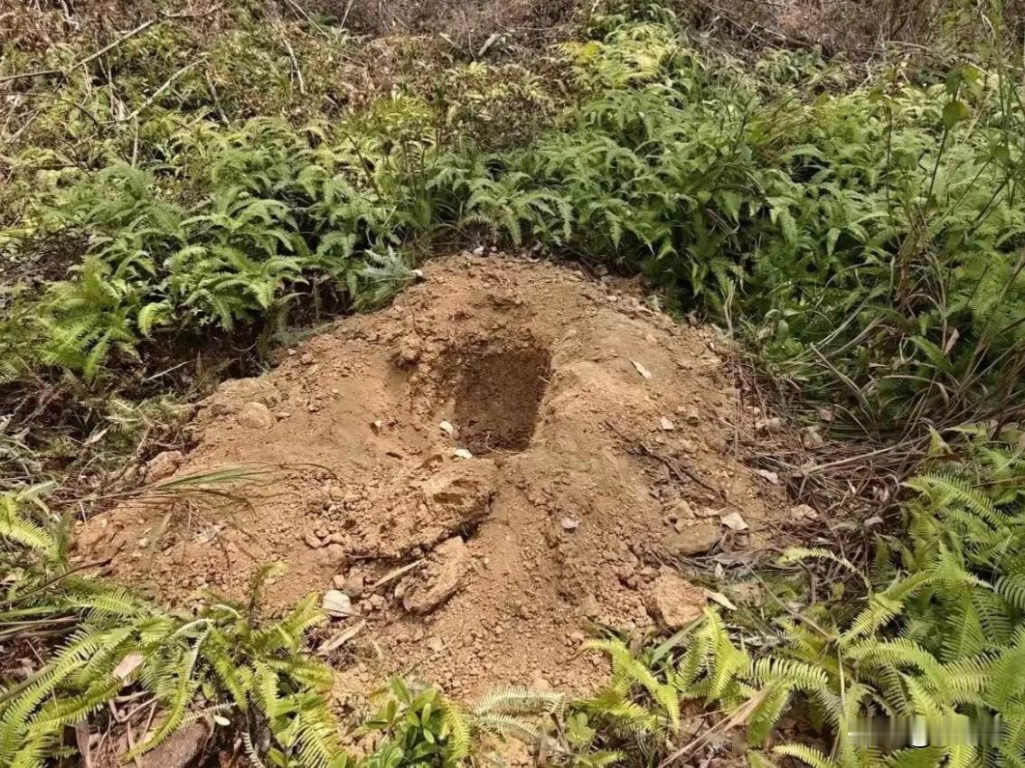 凌晨来电！号码竟是去世表弟，全家赶到墓地当场崩溃！凌晨五点，大多数人还在熟
