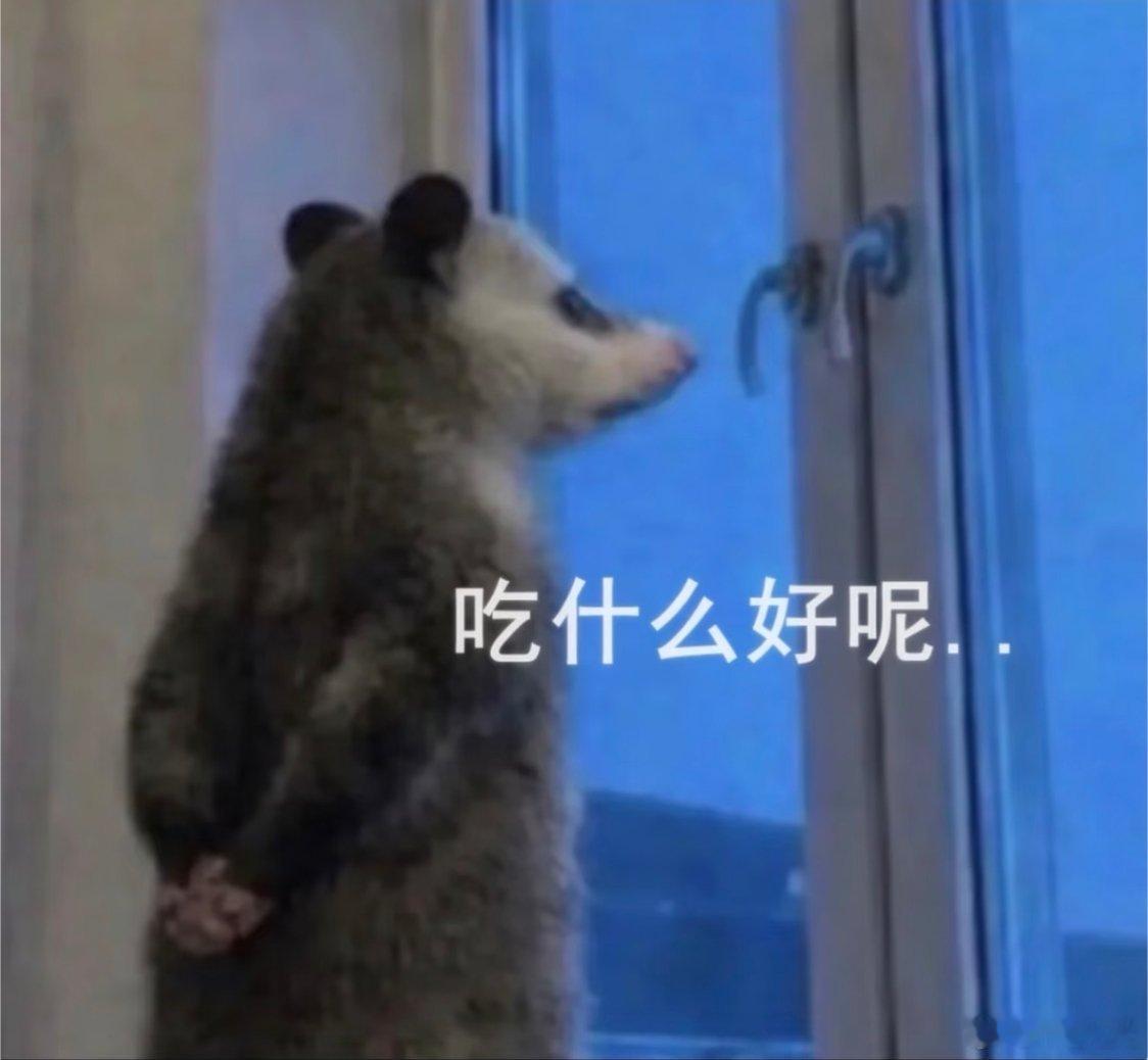 饭点到！晚上吃什么呢？