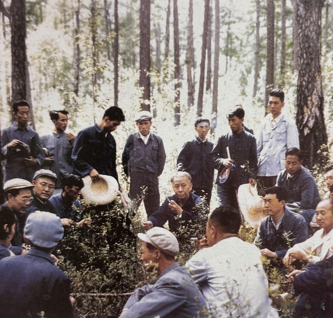 1961年7月，刘少奇率领考察队伍，深入东北林区进行为期近一个月的实地调研。他通