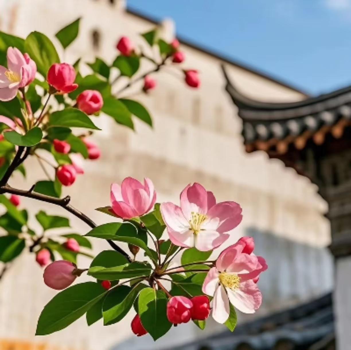 老了以后，这几件事一定不要做：1、花钱大手大脚不攒钱。老了以后手里有积蓄