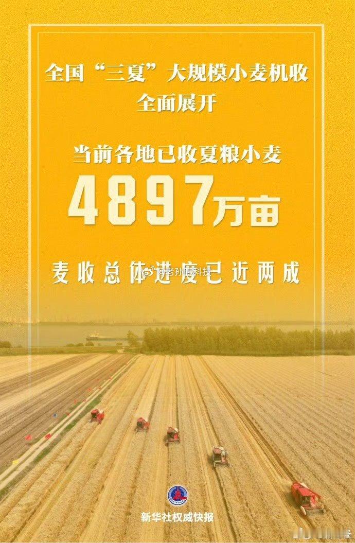 三夏大规模小麦机收全面展开我们山东也快了，应该不到一个星期就可以收割小麦了最近几