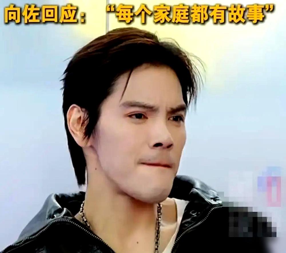 向佐的“心机”你看懂了吗？百亿家产没了，亲弟弟被踢出局，他却安安静静。向家