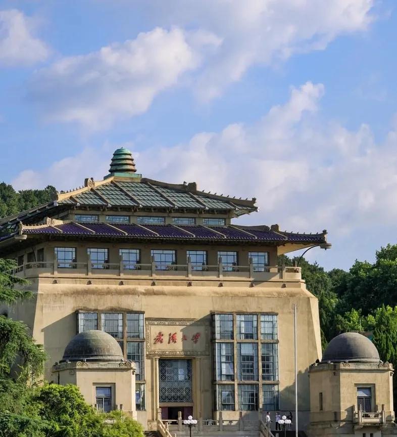 可惜了一张985门票！武汉大学食堂内学生行凶，伤人毁己！以现在的竞争剧烈程度，