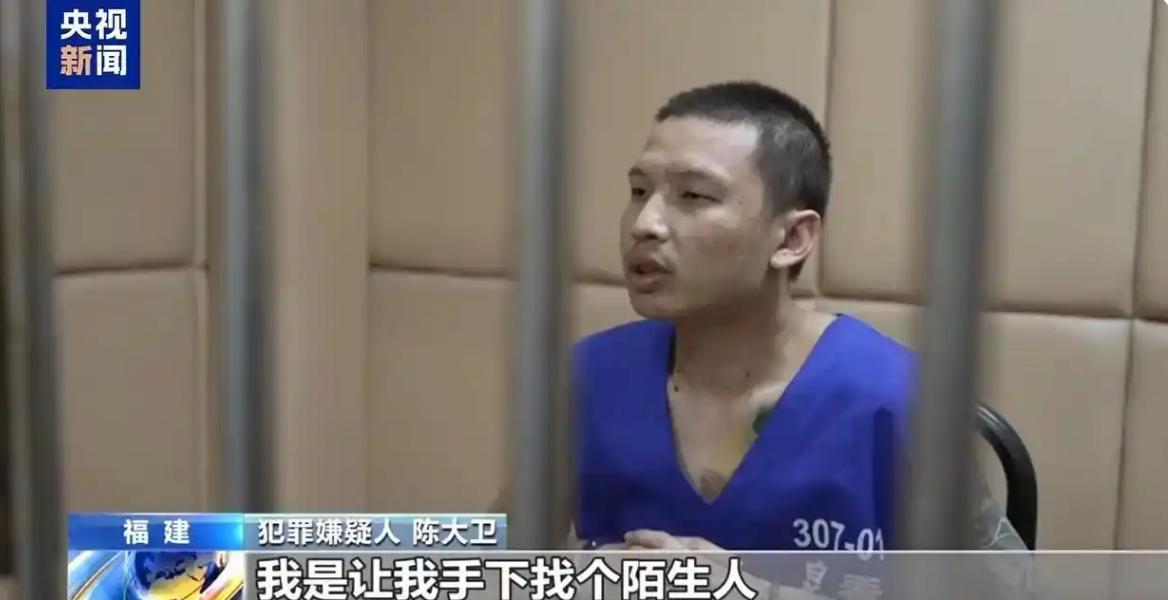 陈大卫，缅北魏家接班人，魏怀仁的外甥，曾以“杀人祭天”的残忍手段向金主表忠心，
