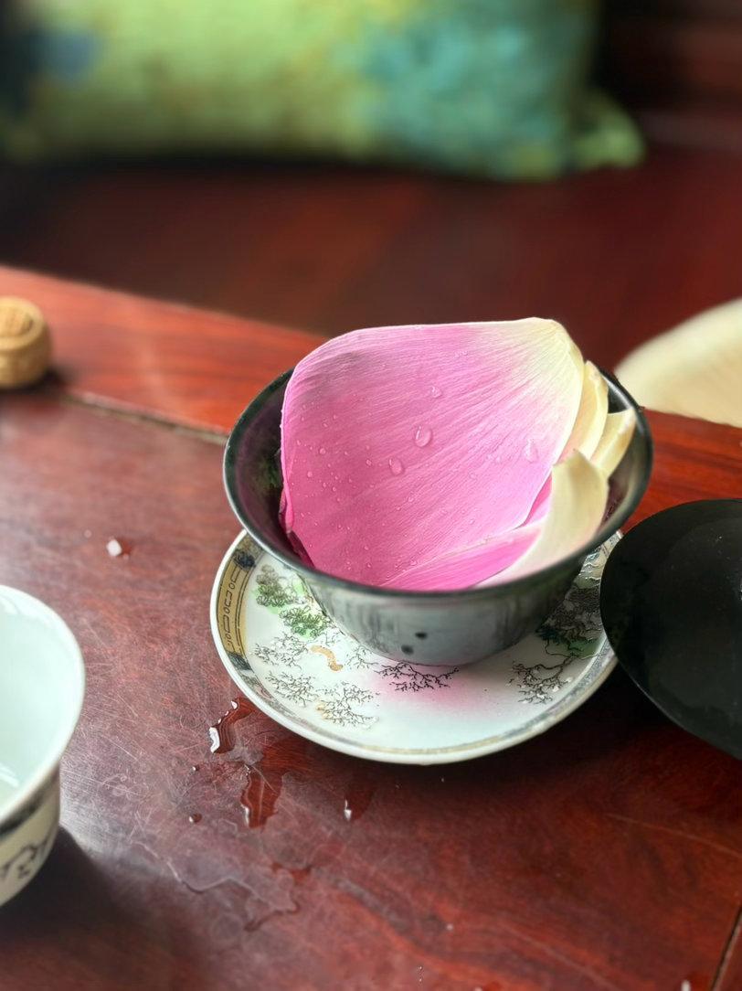 “一切都是本性清净，无差别的。”