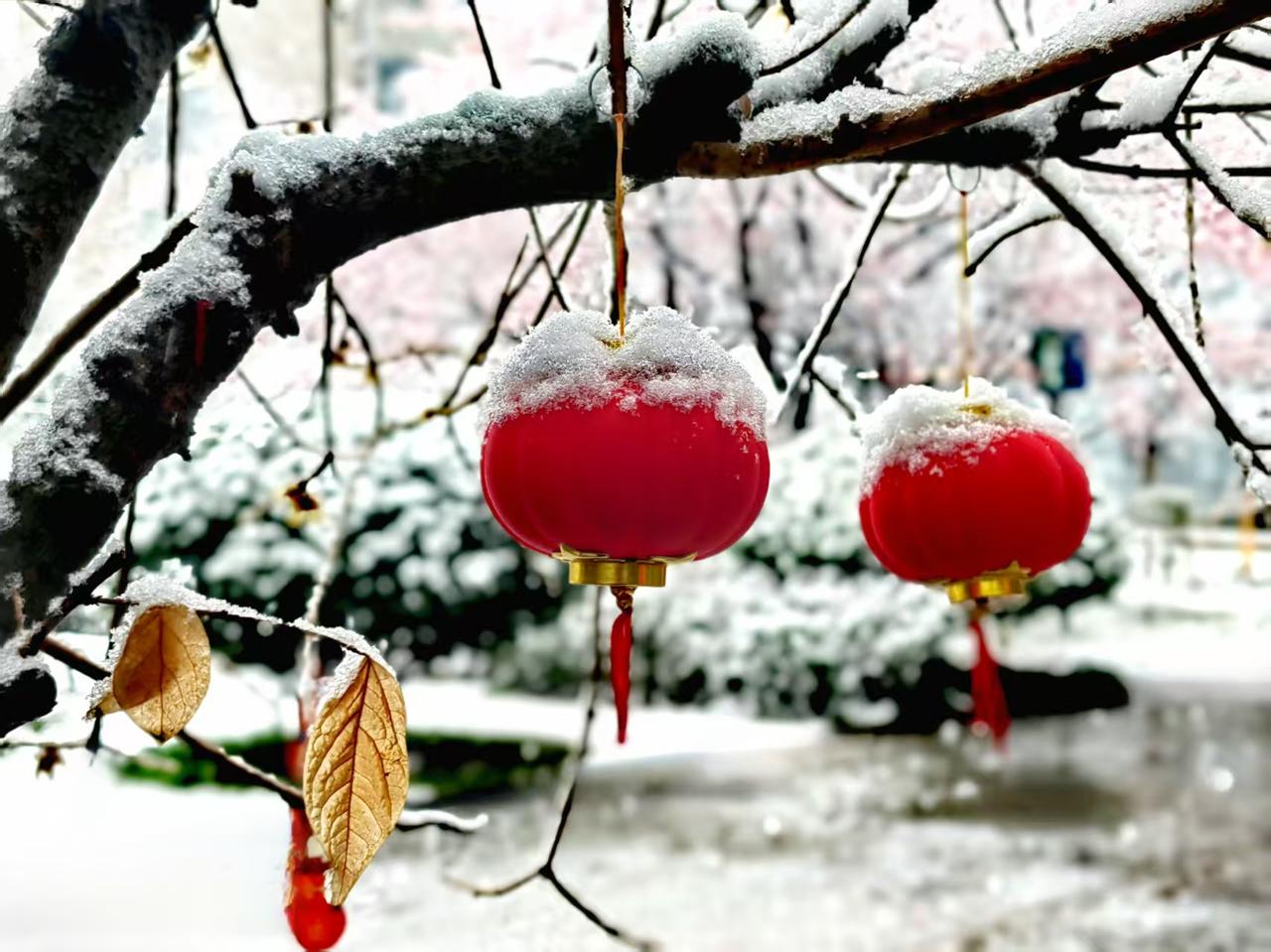记住，别再傻傻的晒幸福了。孩子有出息了，自己升职加薪了，过年举家旅游了，年夜饭