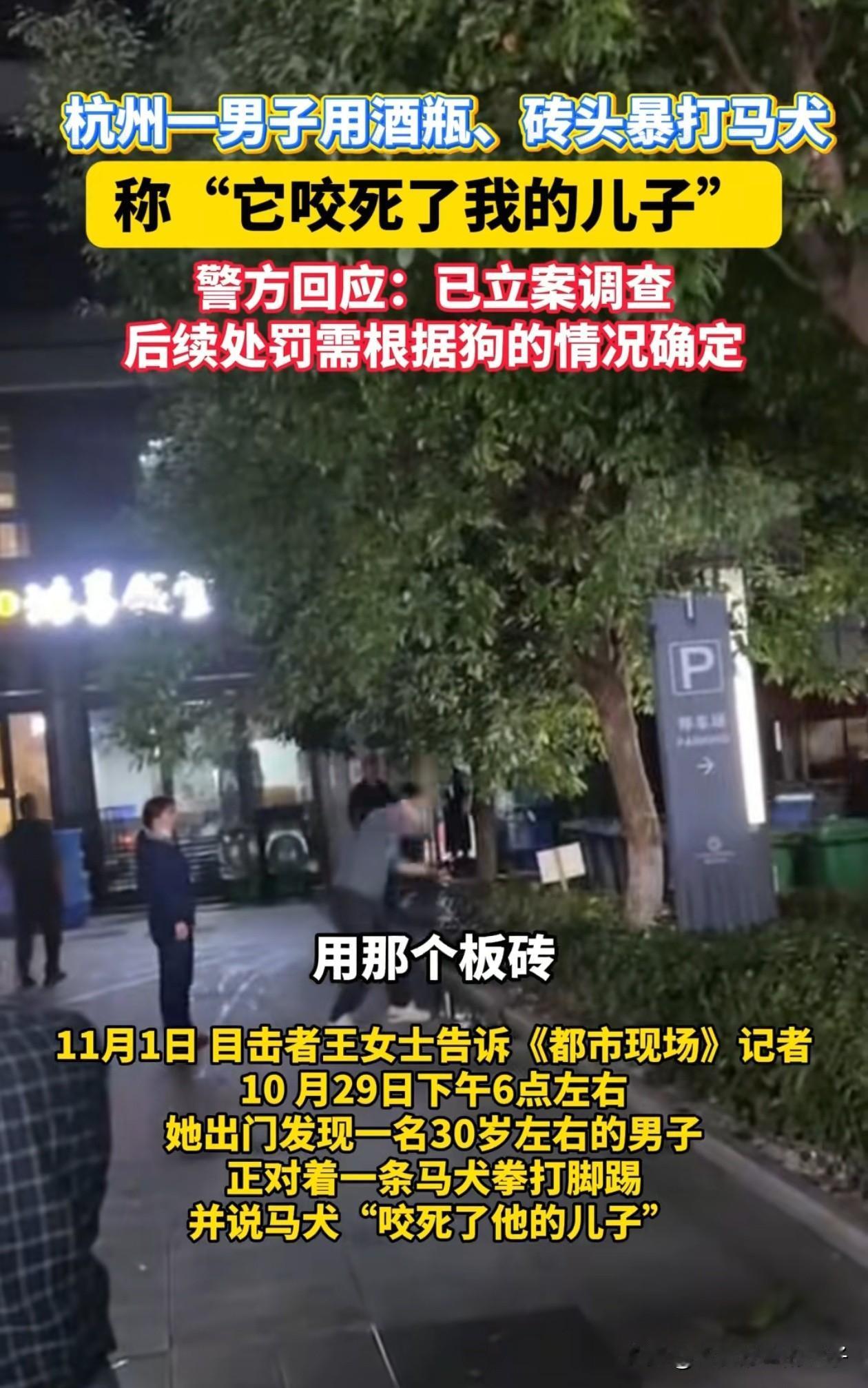 杭州虐打马犬的男子估计惨了，不仅要赔偿对方，大概率还会被刑拘！第一、网传这条