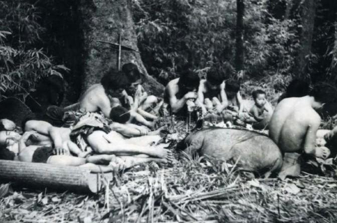 1956年，解放军在云南原始森林深处，发现一群衣不蔽体，蓬头垢面的男男女女。经过