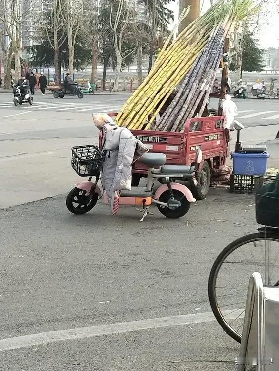 出去买菜，在街上无意中看到卖黄甘蔗的，恕我孤陋寡闻了，真是第一次见。[捂脸哭]我的