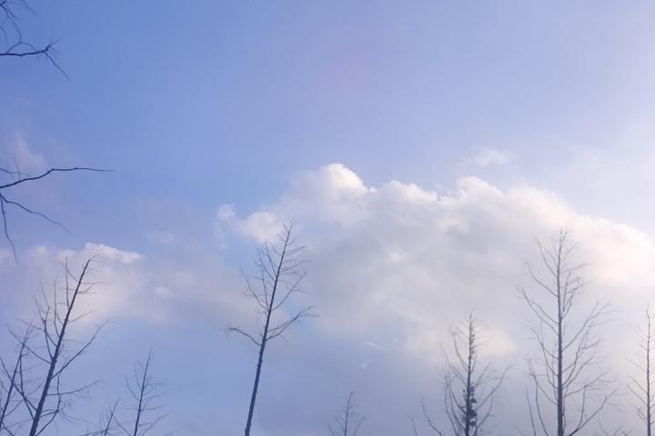 正式告个别吧，从今天开始，你也不联系我了，我也不联系你了。或许我们从此以后，