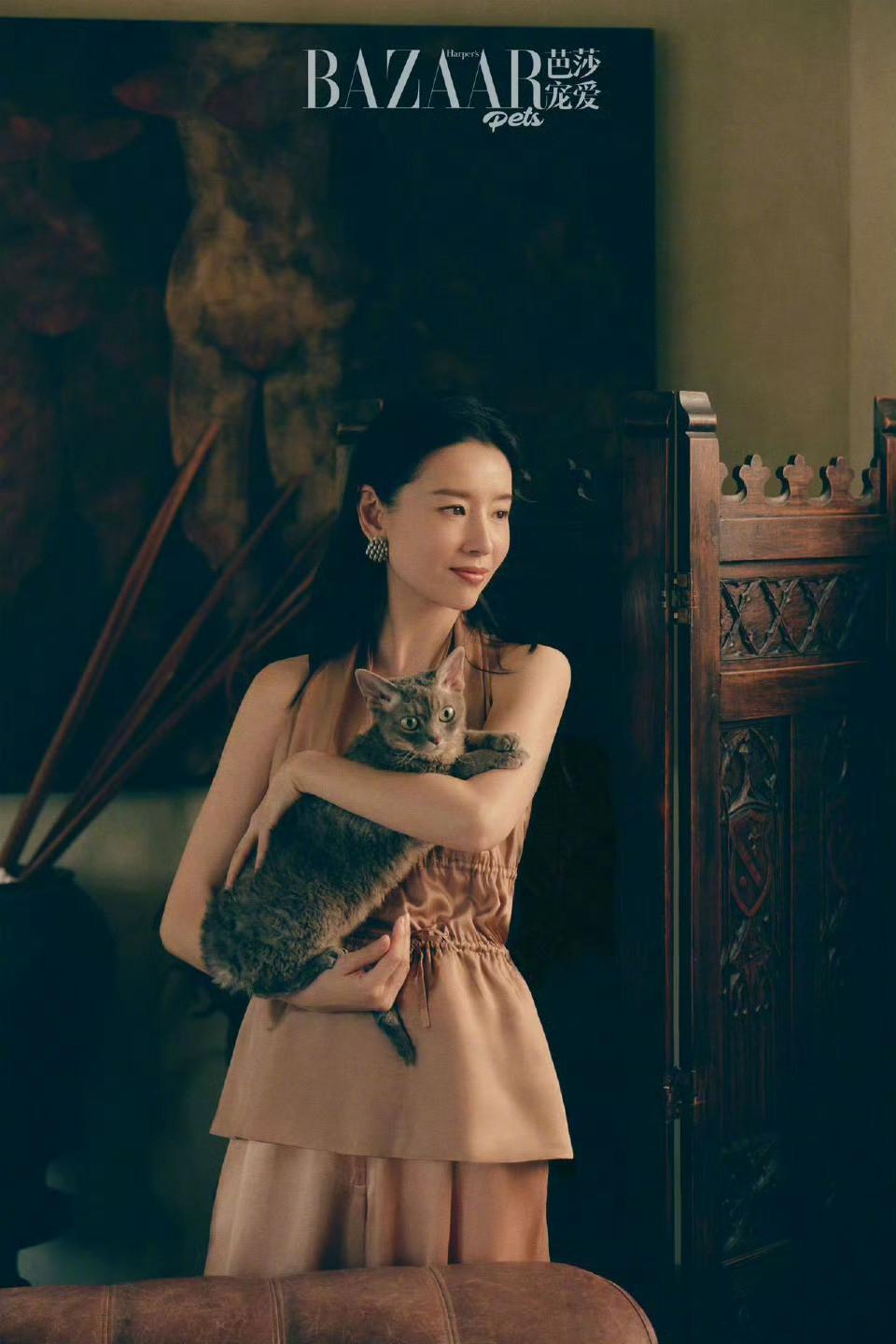 董洁带小猫拍封面大片董洁在娱乐圈里像猫一样摄影：尹超​​​