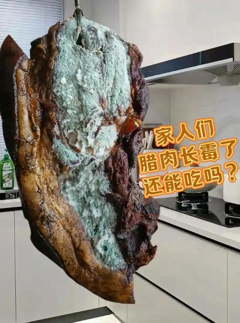 发霉的肉可千万别吃！肉一旦发霉，就会分泌大量毒素，还会有大量细菌繁殖。原本肉里含