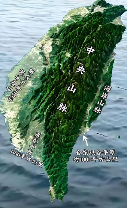 有人觉得台湾的高山密林很适合游击战，如果有人藏进山里抵抗，清除他们会很困难。但这