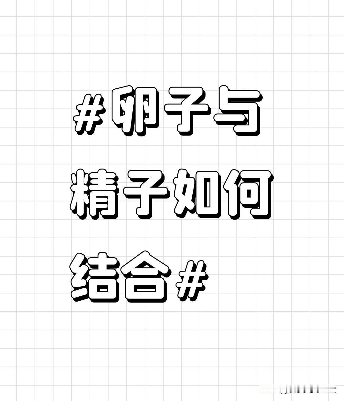 之前刷到有人调侃“精子游得快就能当爹”，真的把受精过程想成百米冲刺了，实际比闯关