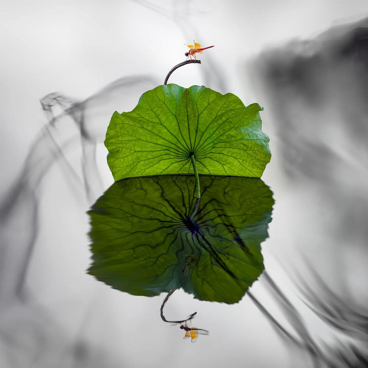 但凡一看到这样的字眼，下面的文章我就不看了，就是，西方人傻眼了，西方人破防了。这