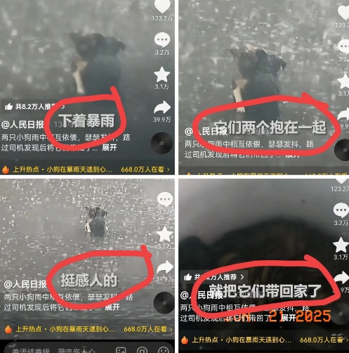 救命！暴雨中的生死时速！湖北恩施暴雨倾盆，男子开车1分钟，发现路中间两团黑影。凑