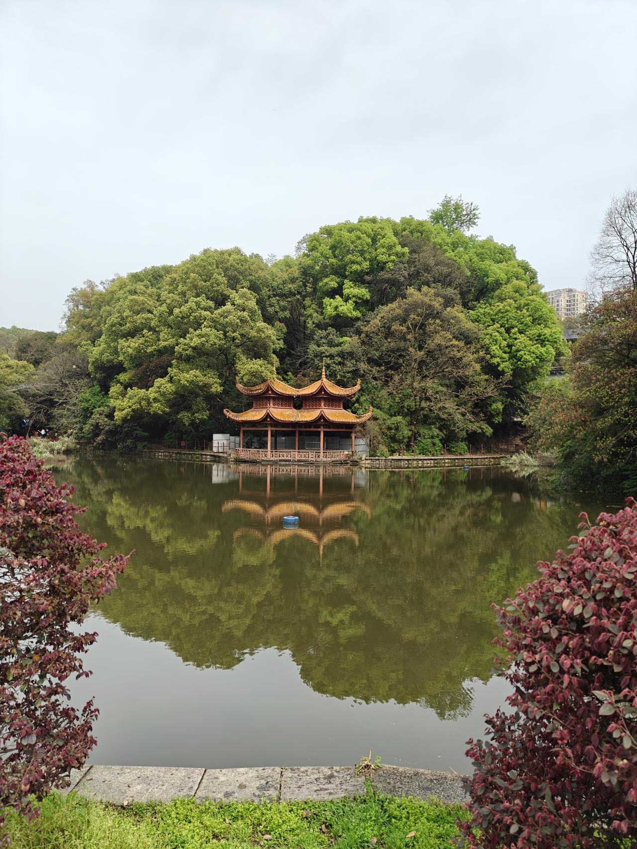 长沙南郊公园早已名不符实了，随着城区的不断扩大，从略感荒凉的城郊，特别是原附近金