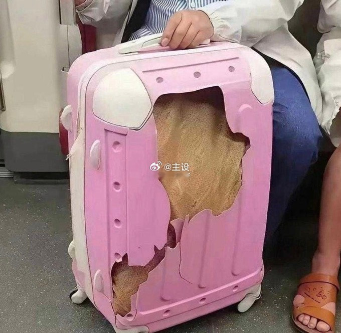 还以为是个破箱子结果是我看错了！