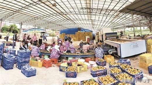 玉林爆发式增长的外贸，都藏在了每个行业里，不信你看！看到广西日报的朋友应该