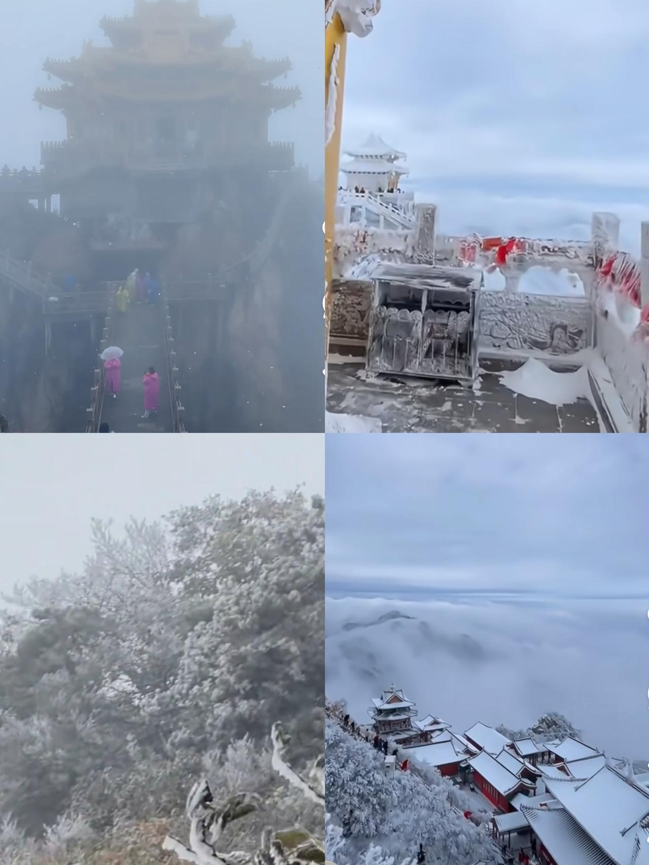 我说今天怎么这么冷啊原来是领居家也下雪了！哎呦，我们也离下雪不远了吧！不过