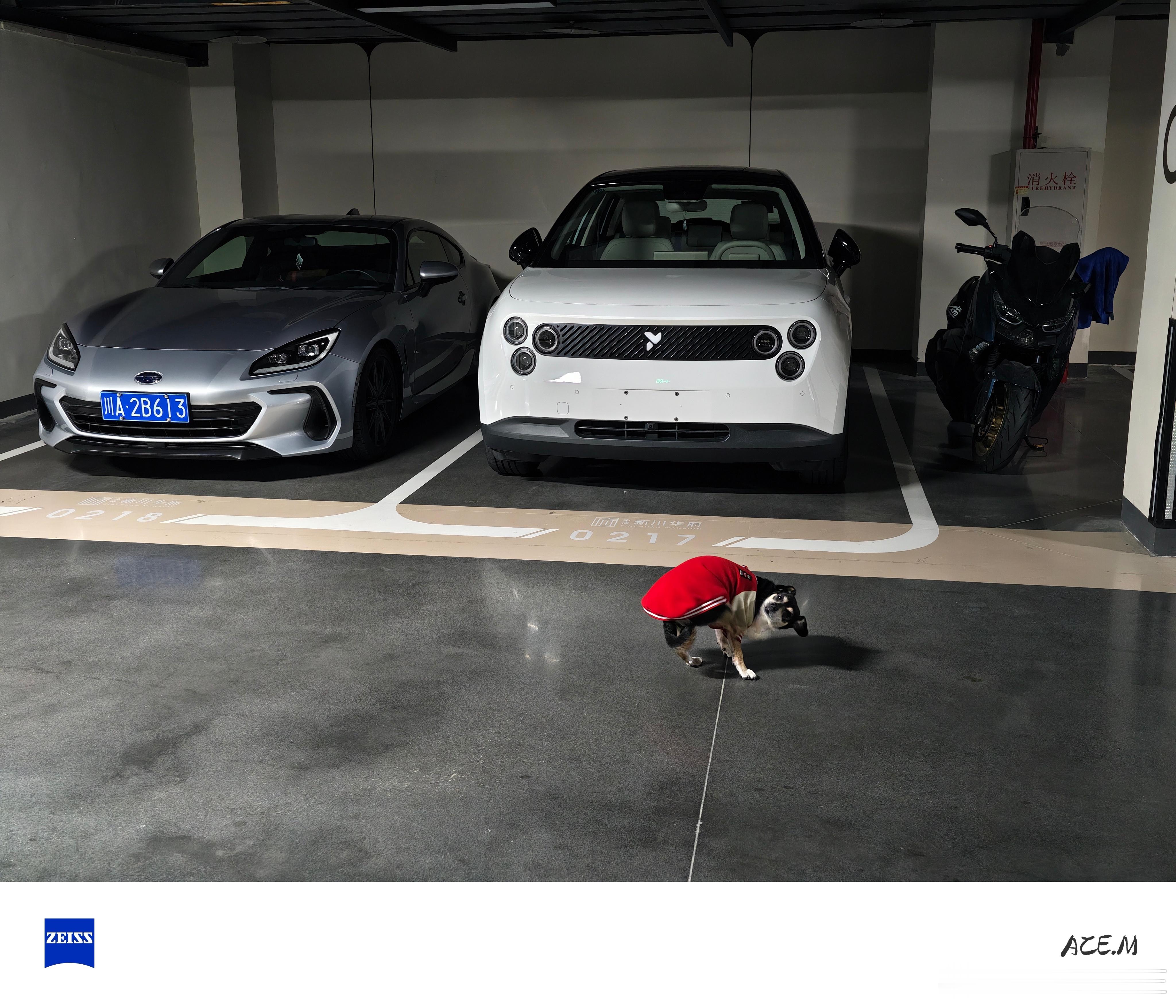 这虫子真好看，白色真没选错主要是不花钱免费色