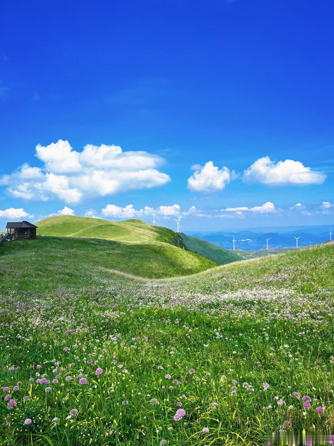 漫步青山湖畔，静享人间山野诗意～