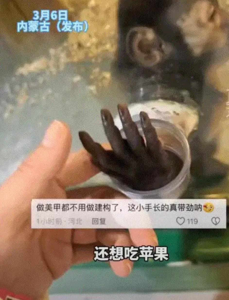 笑不活了！去动物园被猴子反向投喂，它居然让我趁饲养员不在快吃！家人们谁懂啊