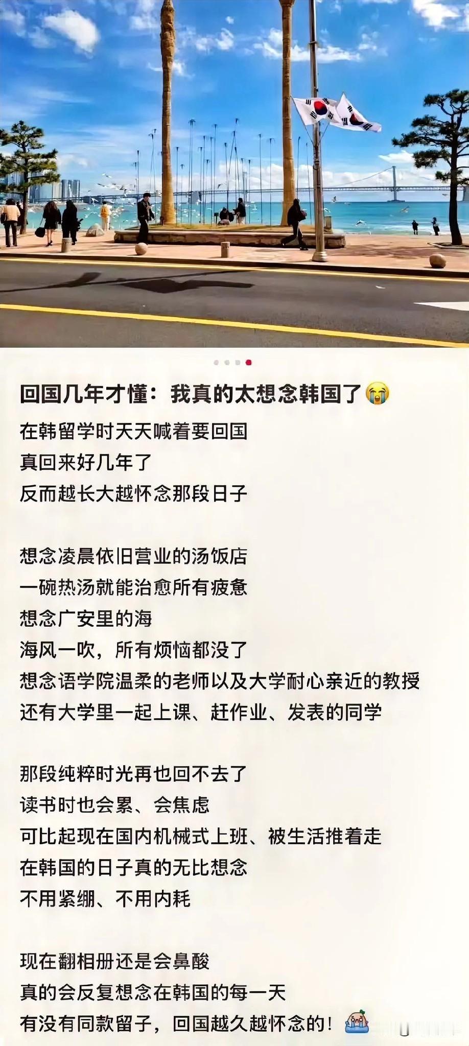 别再嘴硬说想念韩国了，真去打半年工你就清醒了！很多留学生一口一个怀念韩国，你怀念