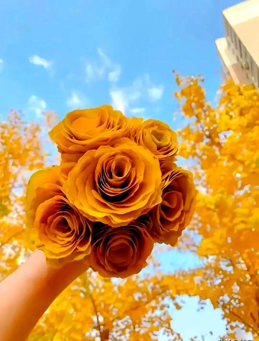 你们真的相信有因果报应吗？这老太太年轻时就天天咒骂瘫痪的婆婆，任由她在污秽里挣