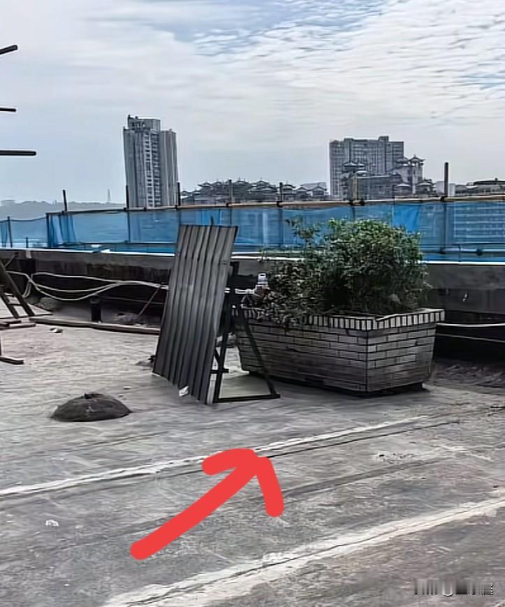 商城楼顶这处小小的花坛，就是泸州白骨案受害者被藏尸28年的地方！她身高1米6多，