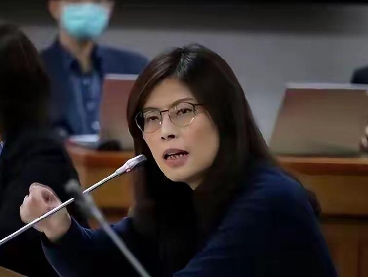 就在刚刚， 中国国民党主席郑丽文发表严正声明， 4月29日，郑丽文在国民