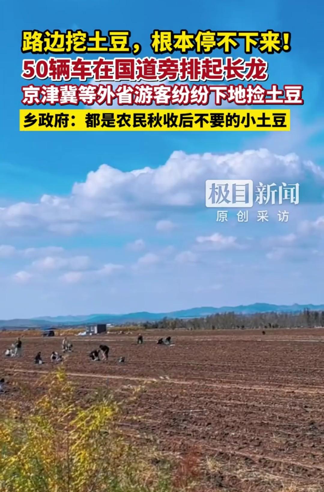 果然谁都拒绝不了免费二字！游客自驾路过内蒙国道边的土豆地时，看到地里被漏下的小土