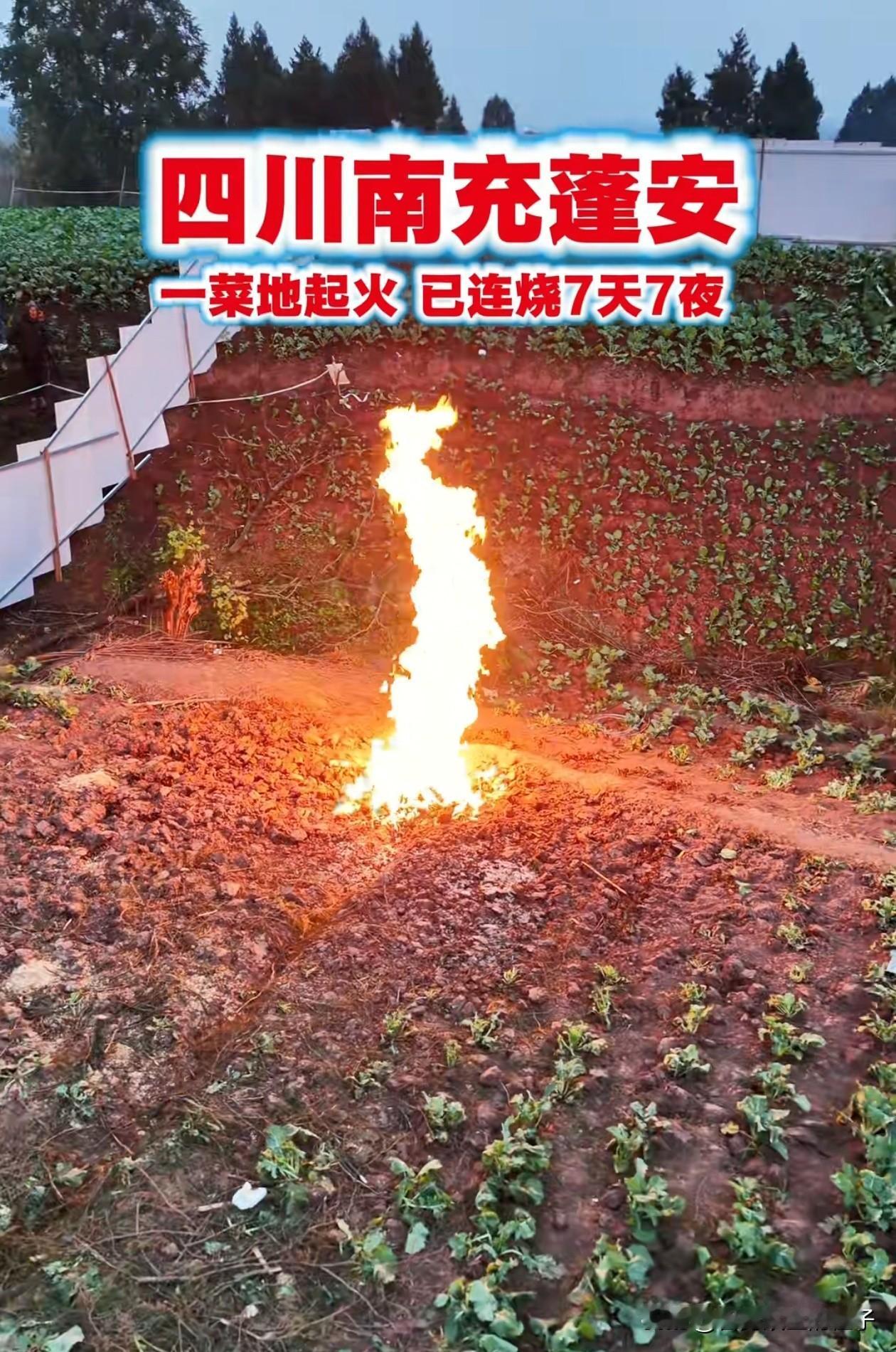 太神奇了！四川，村民告诉前来采访的记者，几天前，他家菜地里突然燃起了一股大火，已