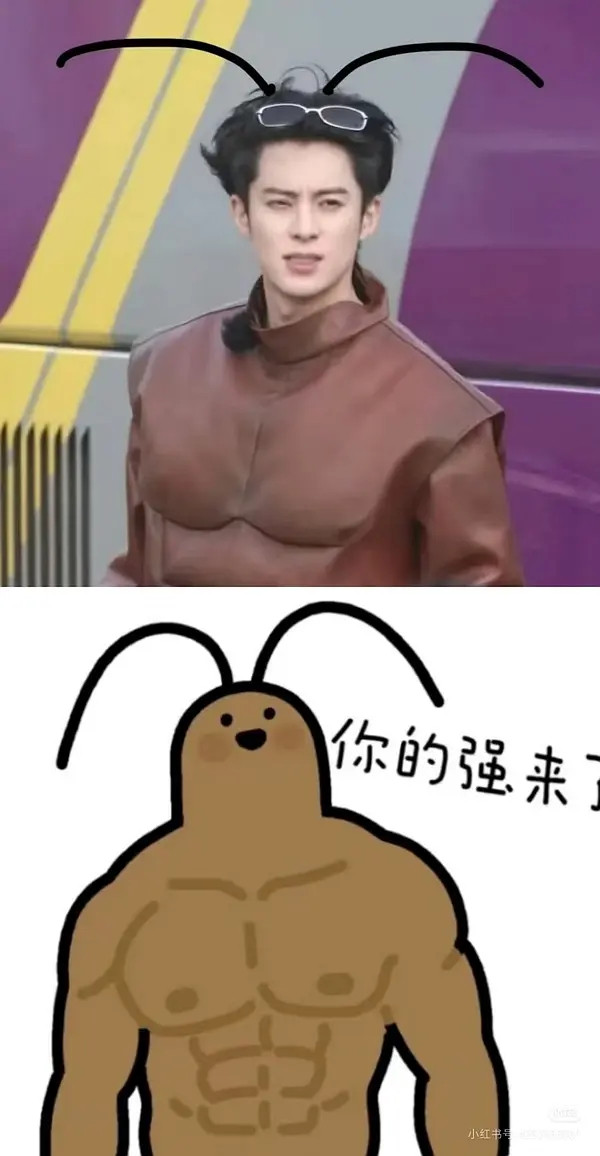 王鹤棣跟小动物过不去了，好可爱，没有包袱的棣棣