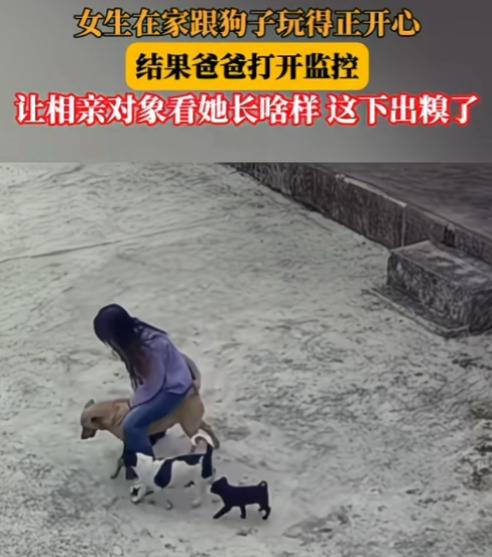 另类相亲方式，却收获意想不到的效果贵州，一女生在家正骑着狗子玩耍，结果爸爸打