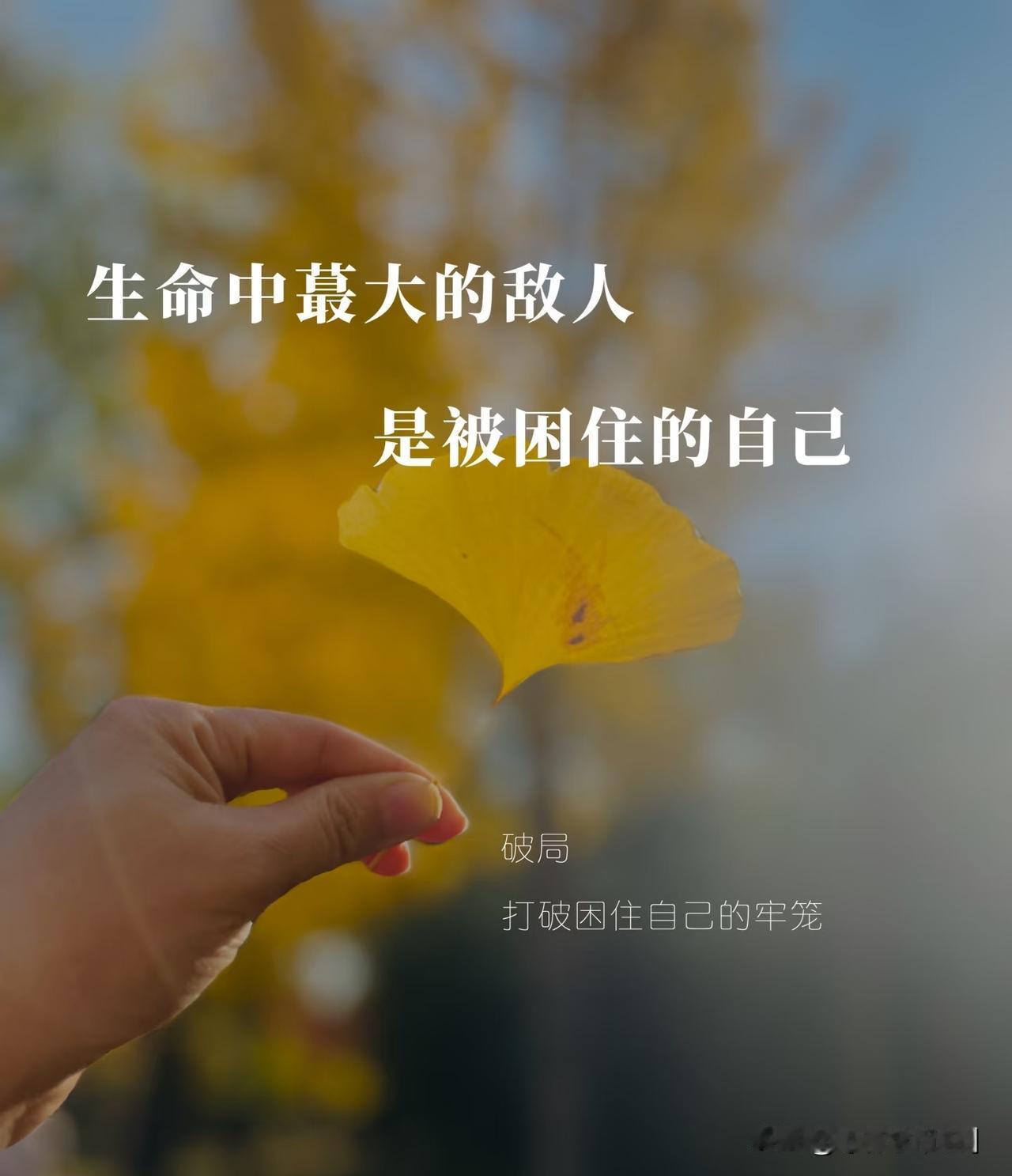 应该成为什么样的人，必须在什么年龄达成什么目标，可能让我们活在别人的剧本里，忘记