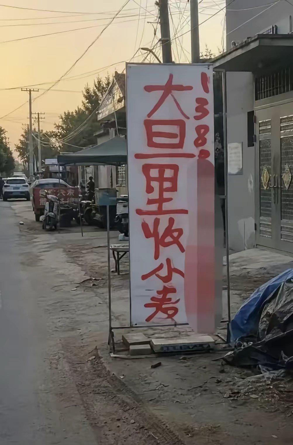 咋读？​​​