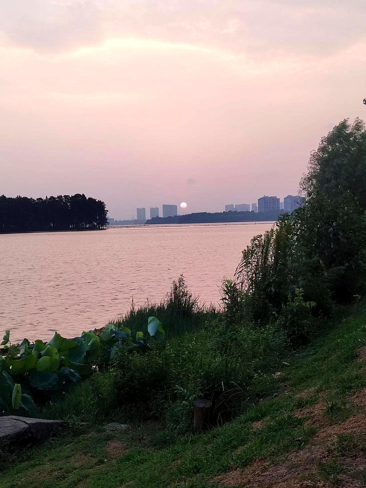 这半年跑武汉东西湖看房，最先变的不是心态，是价格牌。以前还能挑挑拣拣的盘子，如