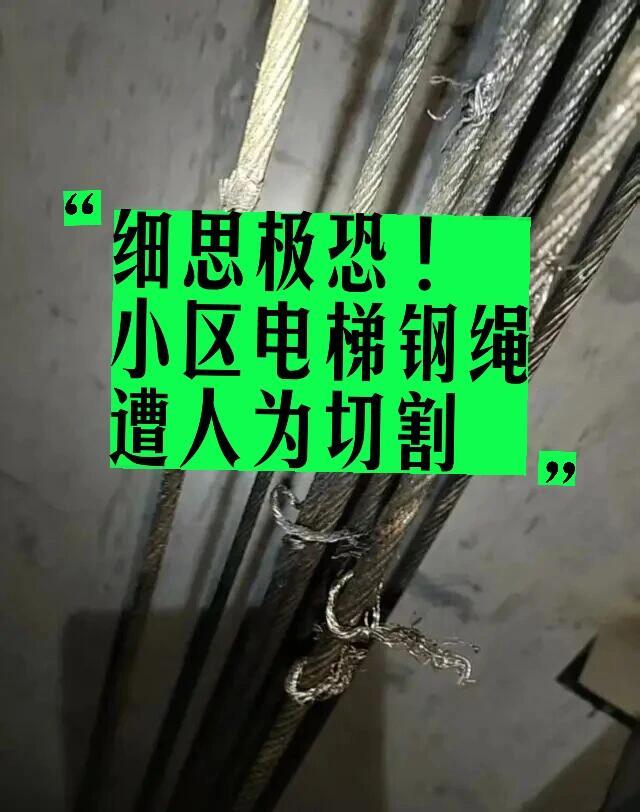 这事儿真是让人后怕——呼和浩特一个小区里,23部电梯的钢绳被人故意割了。要不是检