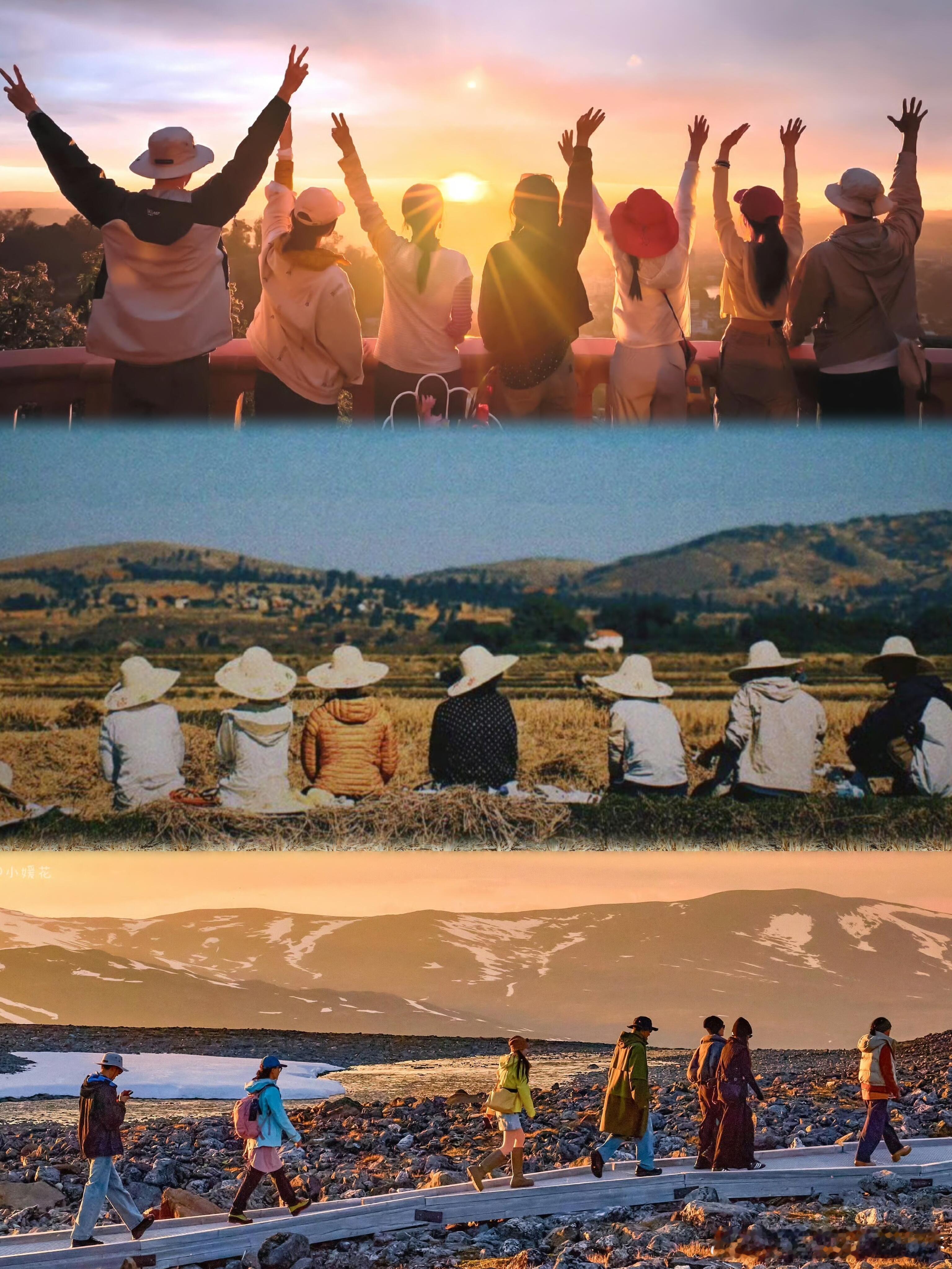 花少7好浓的家味儿花少7简直是内耗人的解药！看七位“淡人”相处太舒服了～一起