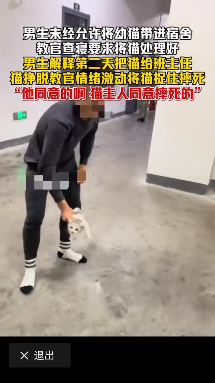 学校的教官当着所有同学的面把这个小猫当众摔死，这个教官感觉非常霸气，好像很厉害的