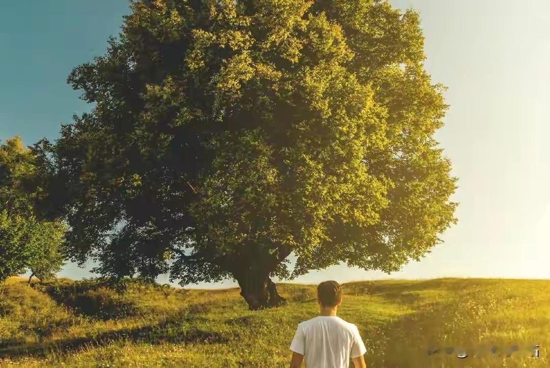 子孙有没有出息，看家里这3处就知道，藏着家族最好的风水总有人纠结孩子的起跑