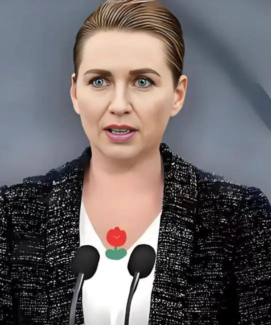 丹麦传来新消息，央视新闻3月25日报道，丹麦首相弗雷泽里克森正式向丹麦国王腓