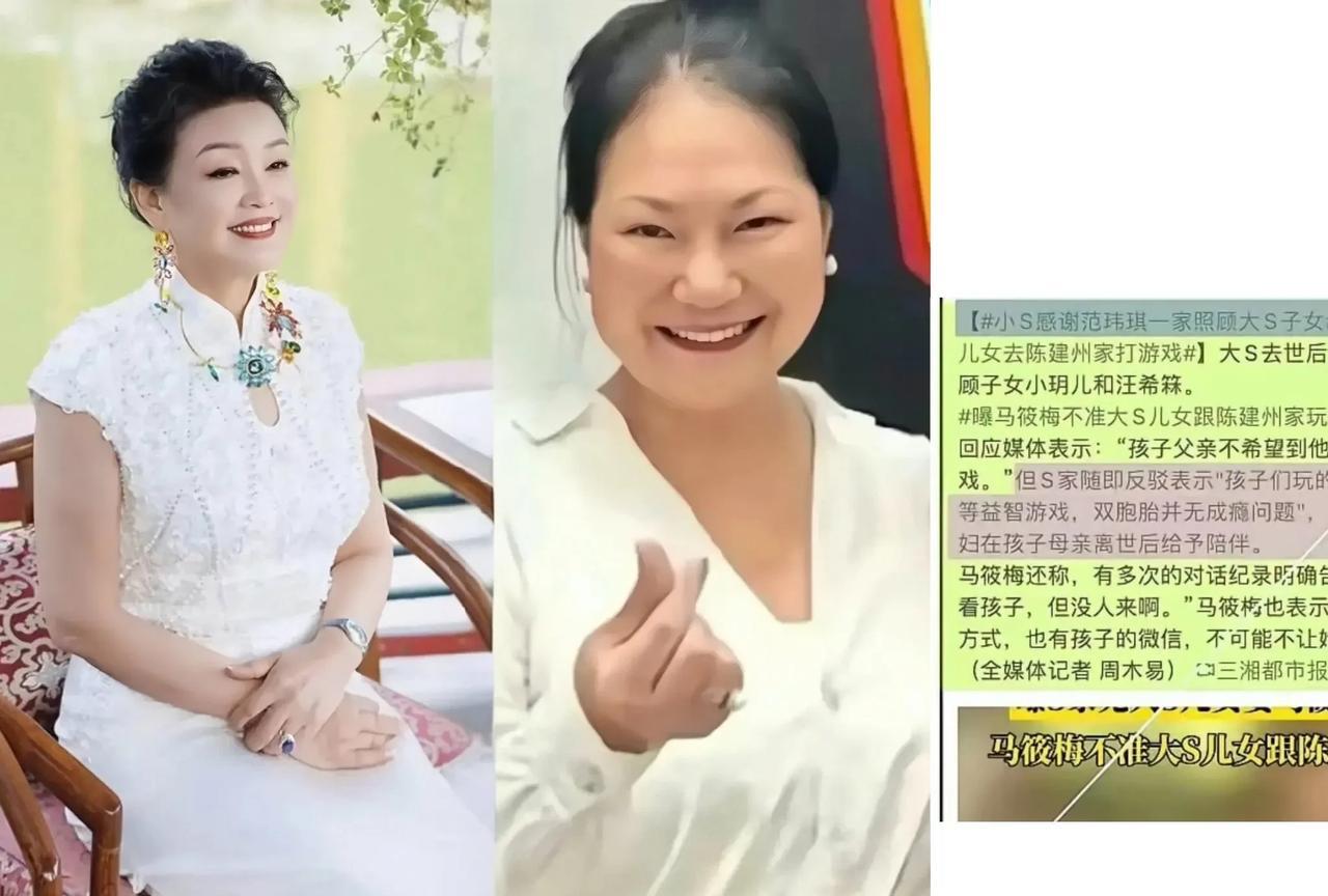 本次汪徐两家的争议点看似是不让徐妈探视俩外孙，对比汪徐两家教育理念和三观的云泥之