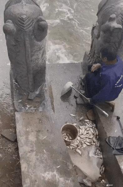 今天的鱼口特别好，鱼儿性情很暴躁！