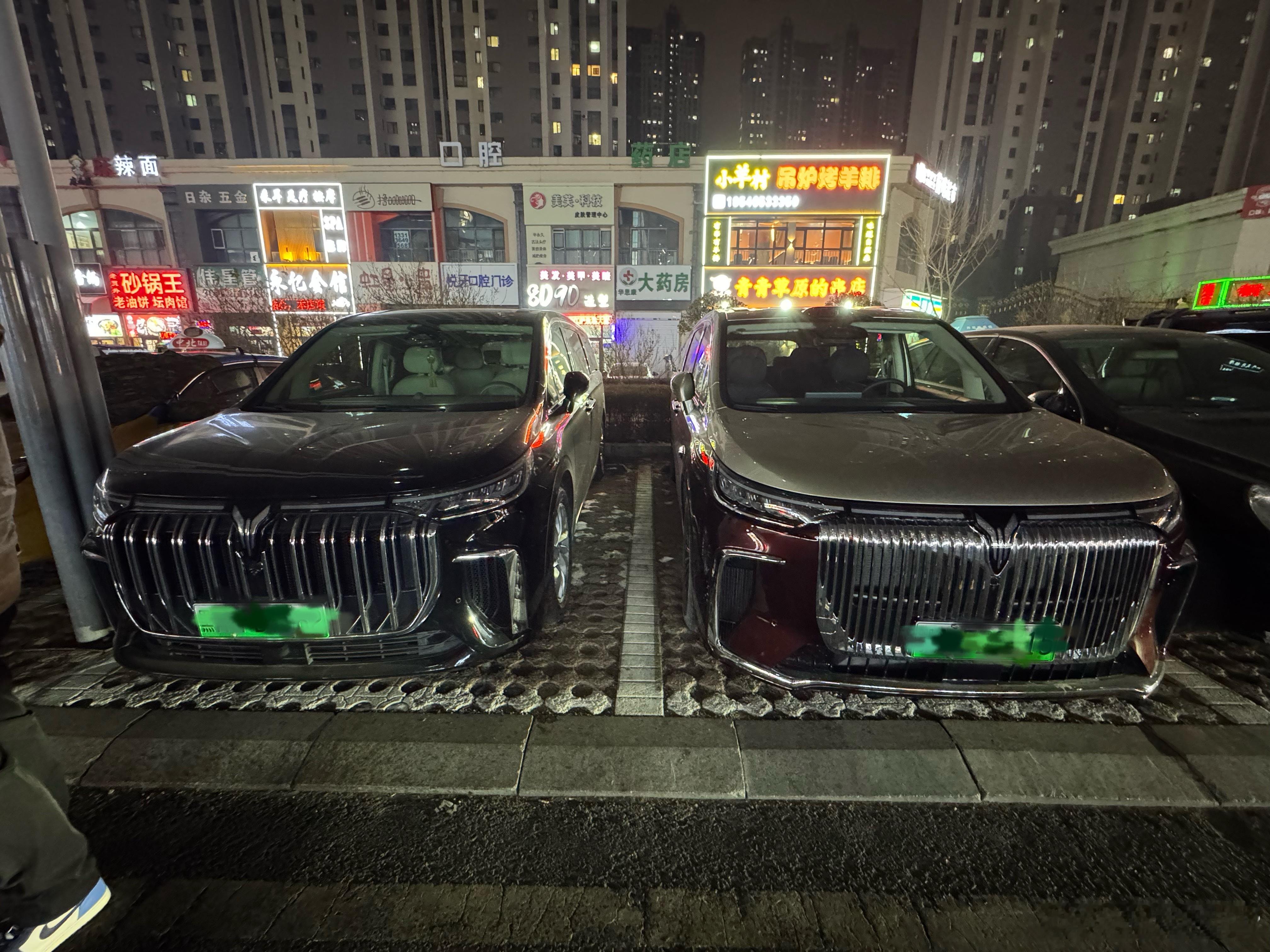 巧了，新老岚图梦想家碰面了。右面是新梦想家，前脸条幅更密集，也更尊了，仅一个外观