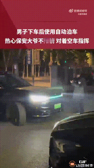 辽宁一处停车场内，一位车主下车后，使用车子的自动泊车功能停车，谁料保安大爷不知情
